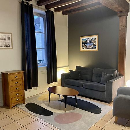 Appartement Le Coche D'Eau Auxerre Les Quais Exterior foto